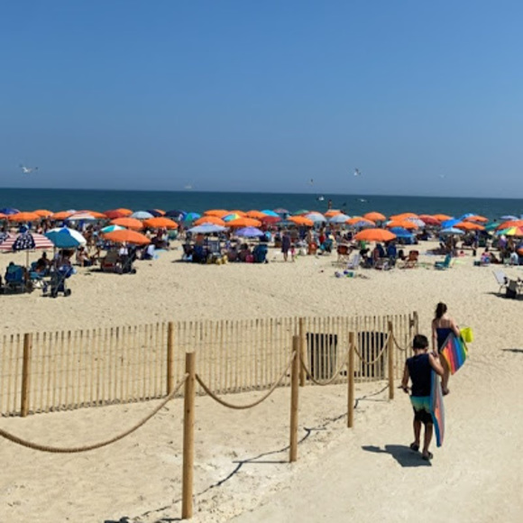 Meet your Posher, Reva - Picture 1 of 1